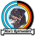 Moe's Rottweilers